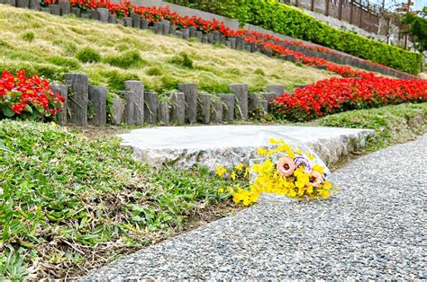 花蓮樹葬|樹葬、花葬的好處在哪裡？ 不需墓地、造碑且零花。